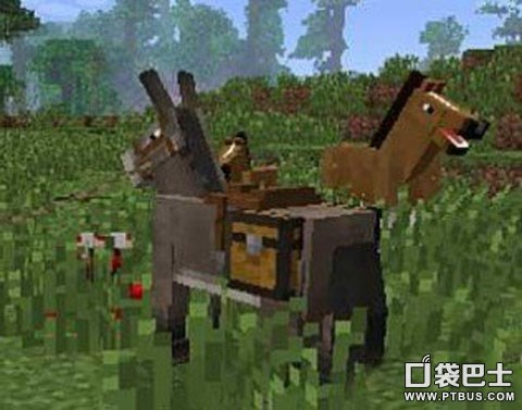 我的世界怎么馴服馬 我的世界怎么騎馬