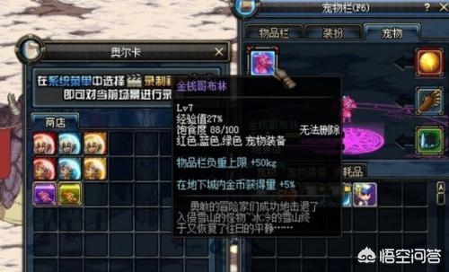 DNF中的十大經典寵物，全部見過的人年齡都不低于20歲