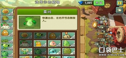 植物大戰僵尸2功夫世界第13天三星通關攻略