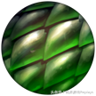 《英雄聯盟》最快適應新版本：一分鐘精通全新符文！