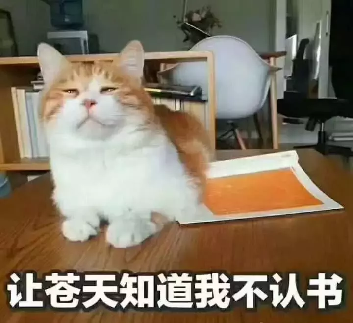 版本介紹|天下霸圖玩法來襲