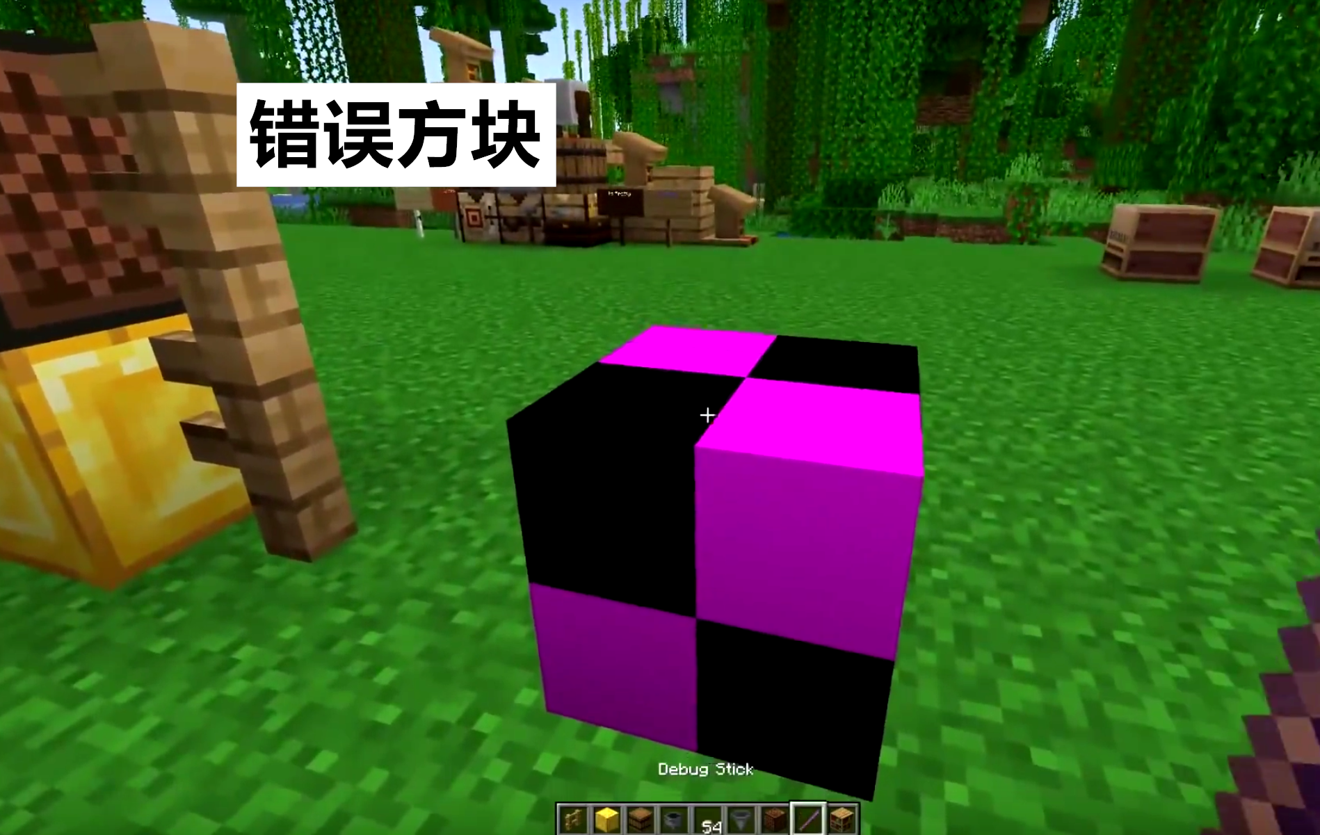 我的世界：7個藏在mc代碼里的生僻方塊！老玩家眉頭一皺，騙誰呢