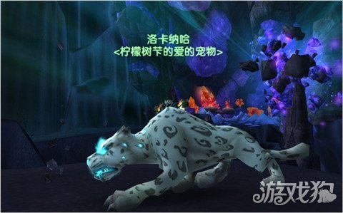 魔獸世界獵人寶寶推薦 最適合玩家的寵物