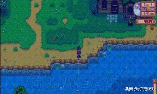 星露谷物語怎么釣魚 星露谷物語釣魚攻略