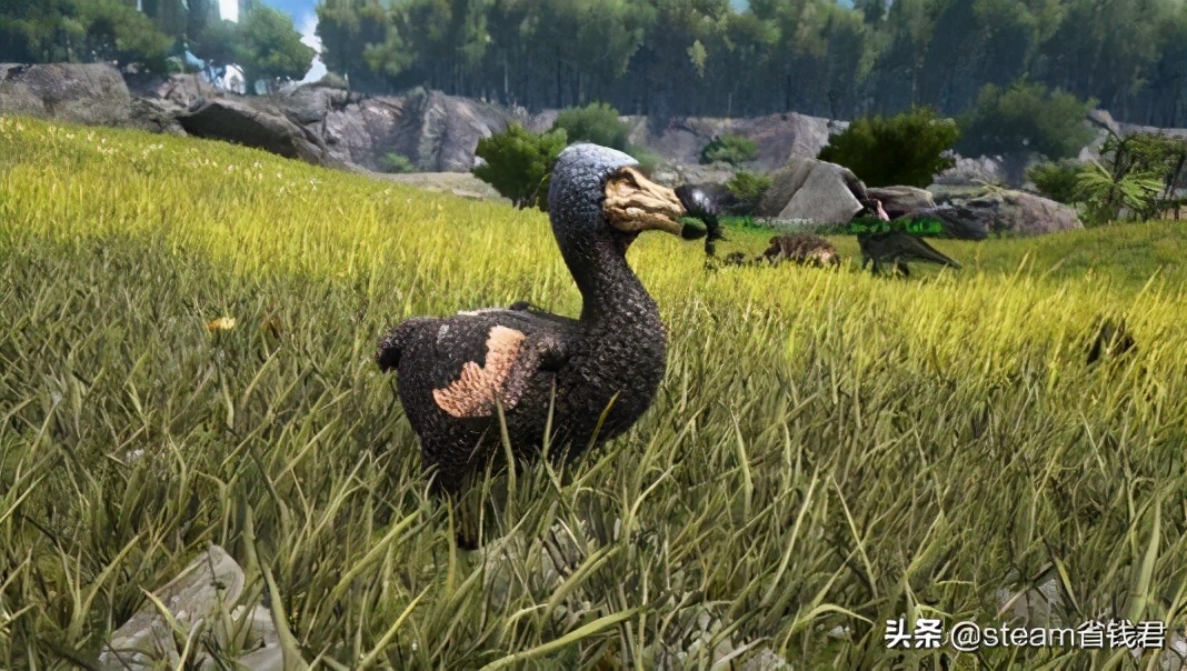 正版游戲小攻略:方舟生存進化技巧