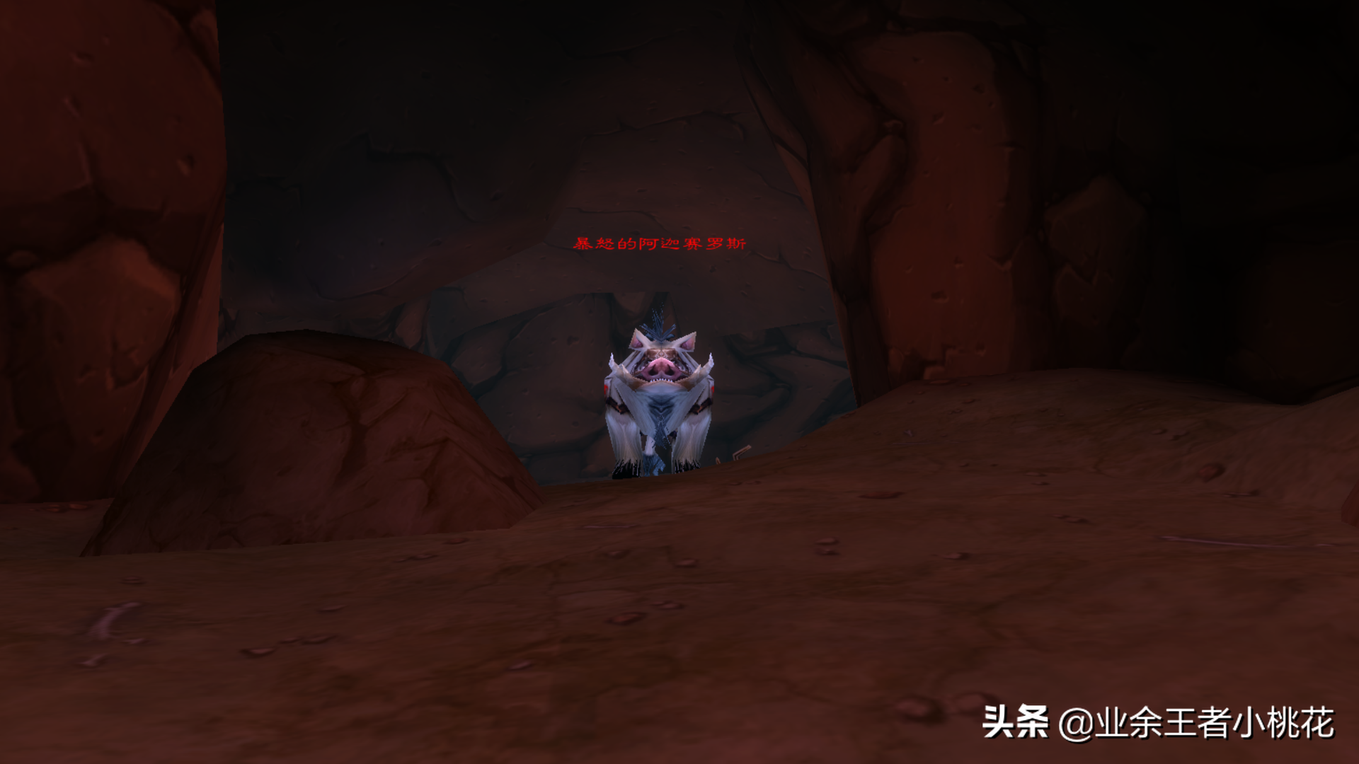 干貨長文，魔獸世界懷舊服副本剃刀沼澤詳細介紹
