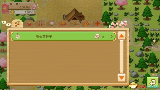 牧場物語：希望之光 圖文攻略 農場上手指南教程