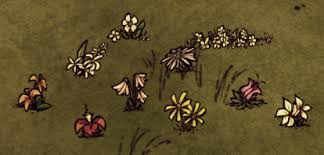 《饑荒》怎么種植花朵 增加惡魔花朵的辦法
