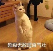 老飛飛手游官網下載（飛
