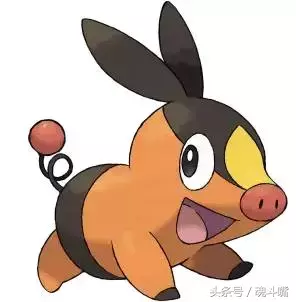 口袋妖怪歷代御三家回顧