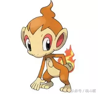 口袋妖怪歷代御三家回顧