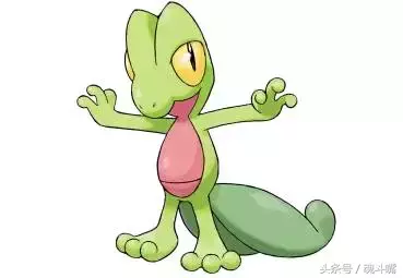 口袋妖怪歷代御三家回顧