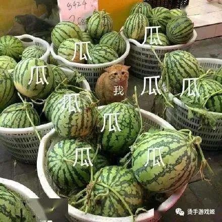 解鎖《逃離方塊》系列游戲的正確玩耍順序！