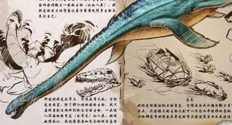 《方舟進化生存》全攻略，聯機+馴龍+材料收集等