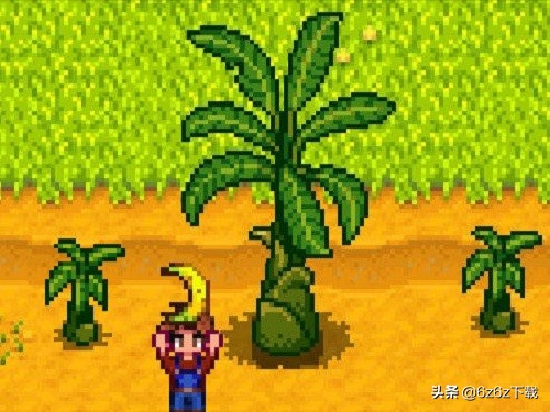 星露谷物語新人必備攻略 星露谷新手攻略