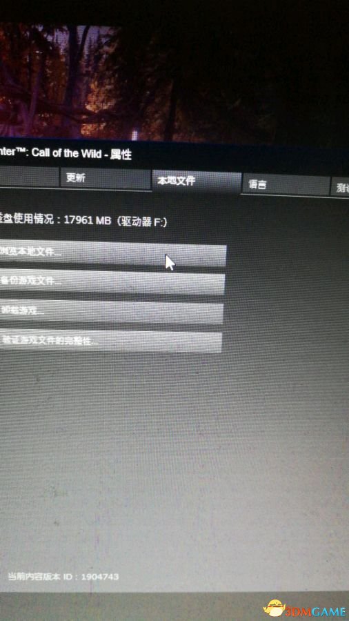 獵人荒野的呼喚游戲無法進入解決方法