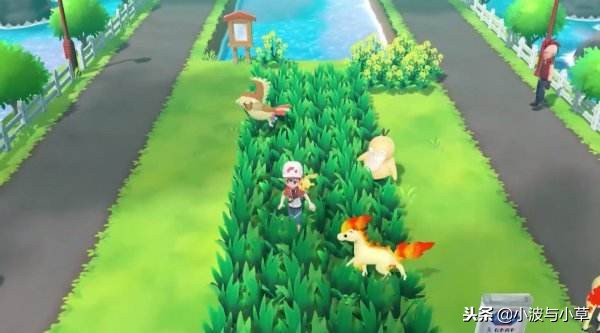 《口袋妖怪Let‘s Go》技能招式機器你都收集完整了嗎？