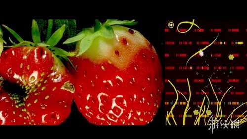 《伊甸園》手游IOS版公測日期 蘋果版上線日期介紹