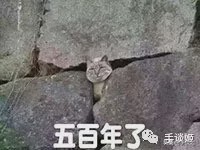 聽說你想刷爆怪物的狗頭？或許可以試試《暗黑破壞神》類單機手游