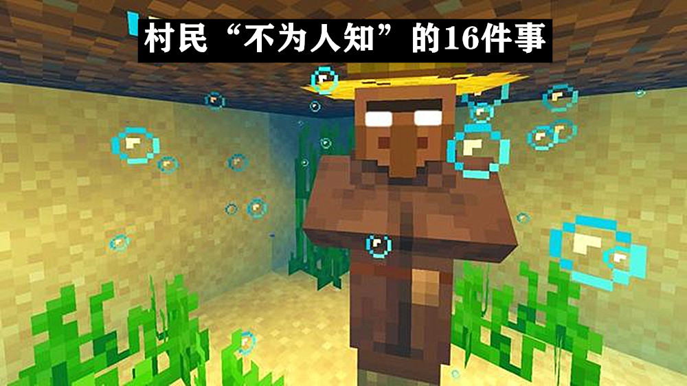 《我的世界》關于“村民”的16個小秘密，村民：這還是人干的事？