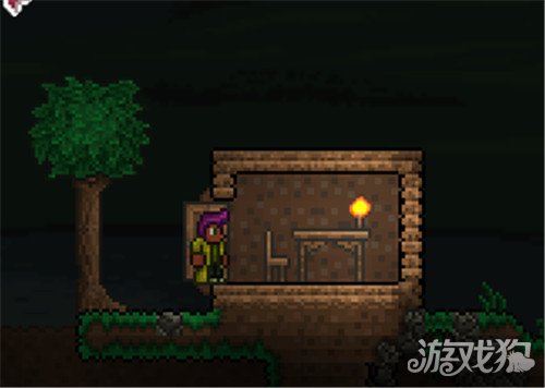 泰拉瑞亞NPC入住對于的房屋要求