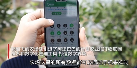 開心農場游戲創始人建真農場：他是真的愛開農場啊