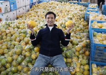 開心農場游戲創始人建真農場：他是真的愛開農場啊