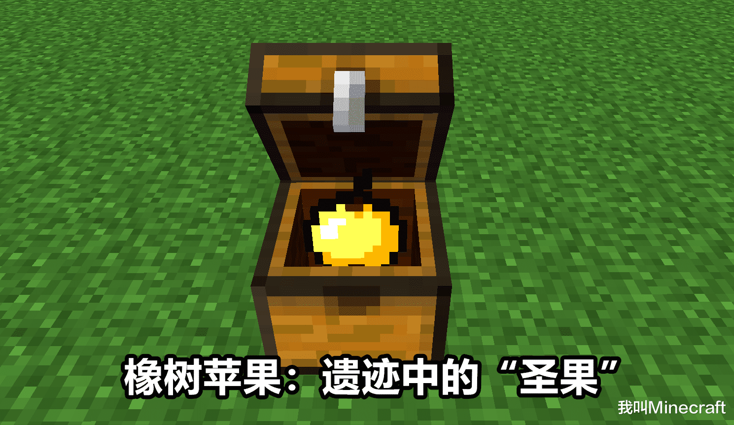 mc版十萬個為什么：《我的世界》為什么蘋果會長在“橡樹”上？