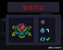 元氣騎士植物種子功能圖鑒大全