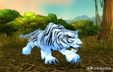 魔獸世界懷舊服：獵人該怎么選擇寵物？獵人前期寵物分析