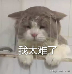 等了三年終于來了！《三國志》手游上線，匡扶漢室還是稱霸天下