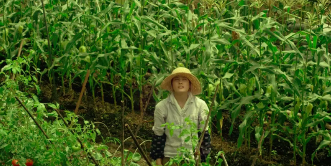 這個游戲好玩嗎：星露谷物語火爆的背后，是百味的種田人生