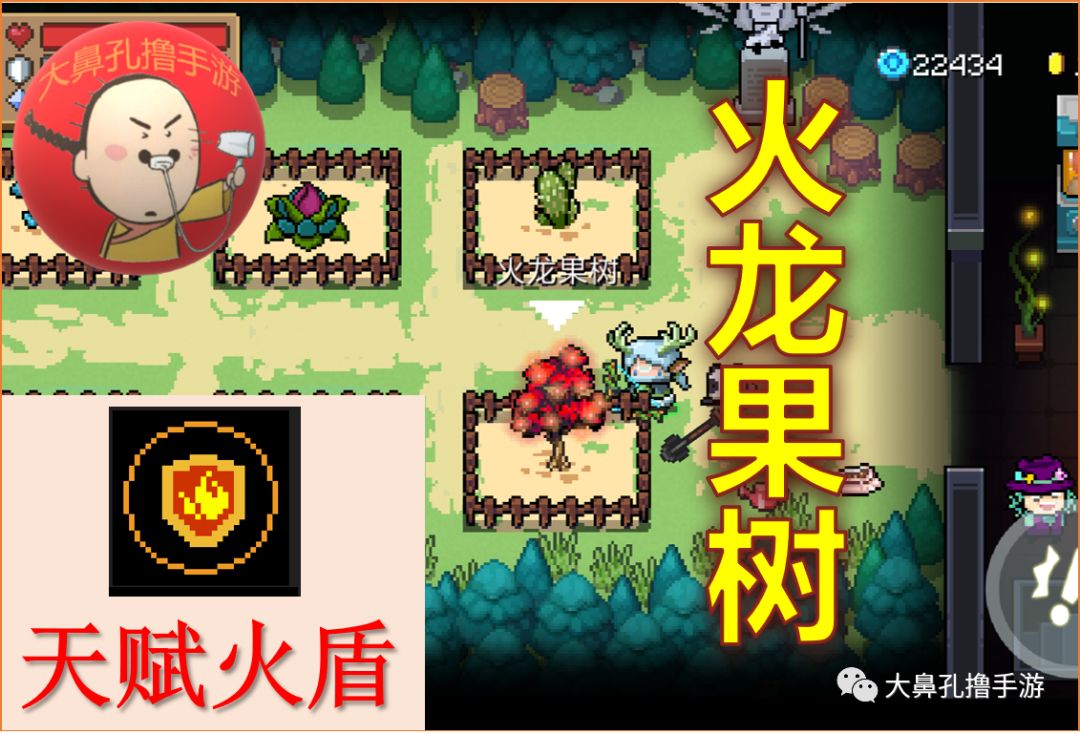 元氣騎士:最新26顆元氣種子介紹 花園植物全收錄