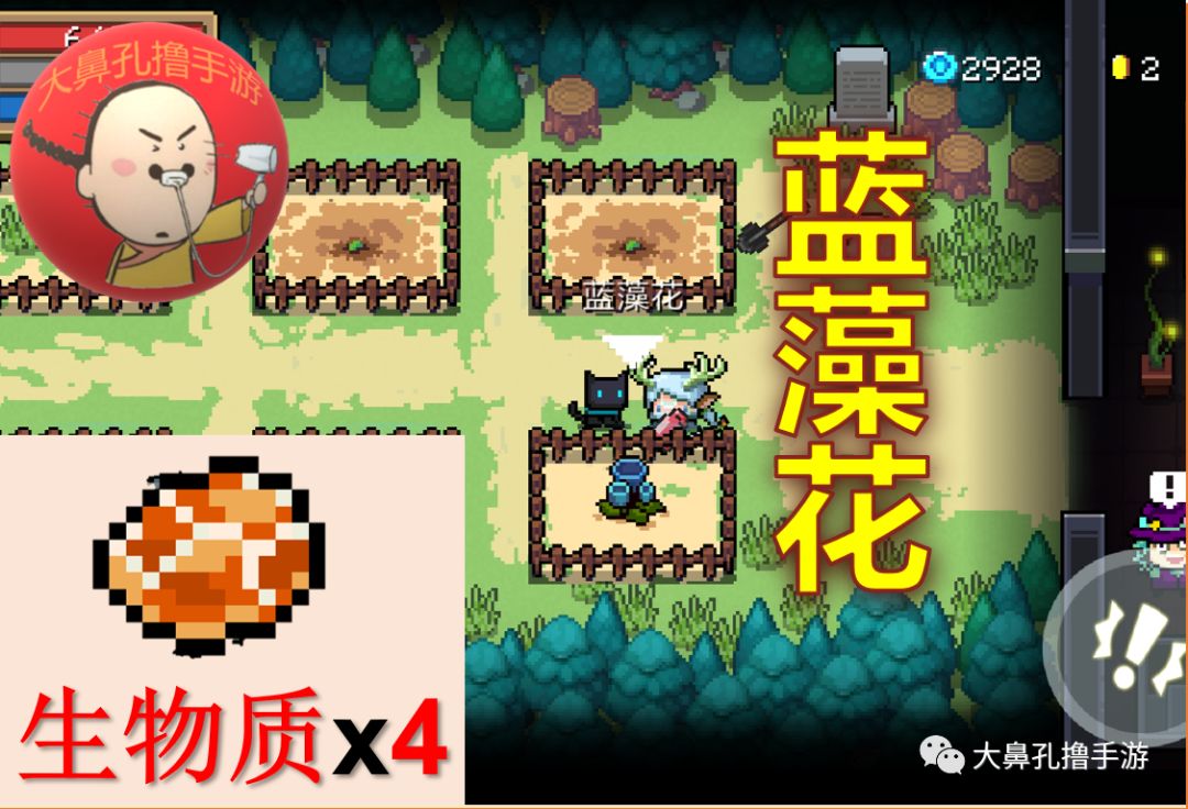 元氣騎士:最新26顆元氣種子介紹 花園植物全收錄