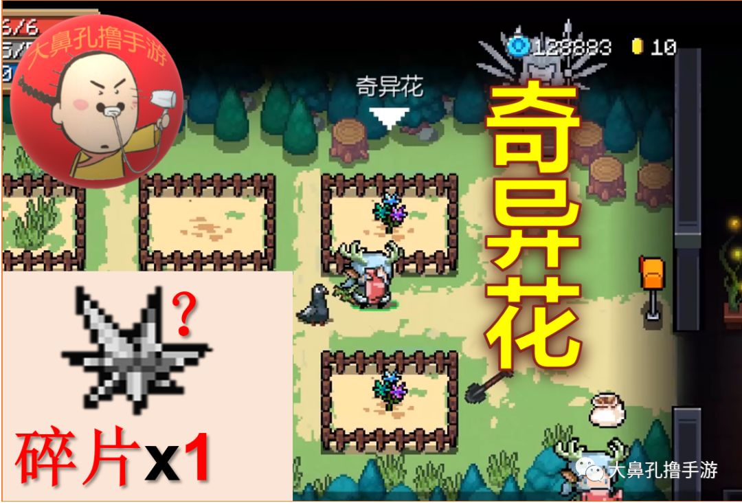 元氣騎士:最新26顆元氣種子介紹 花園植物全收錄