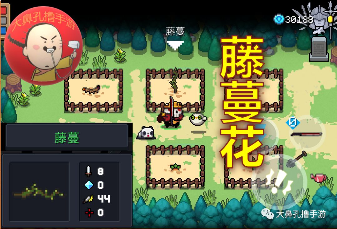 元氣騎士:最新26顆元氣種子介紹 花園植物全收錄