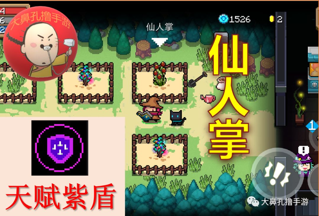 元氣騎士:最新26顆元氣種子介紹 花園植物全收錄