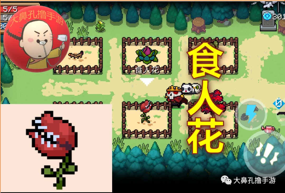 元氣騎士:最新26顆元氣種子介紹 花園植物全收錄