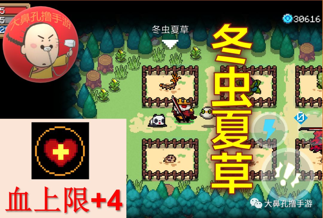 元氣騎士:最新26顆元氣種子介紹 花園植物全收錄