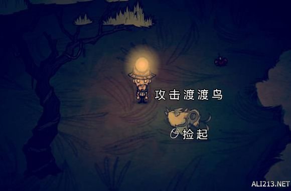 《饑荒》海難DLC渡渡鳥出現位置、捕捉方法及繁殖一覽