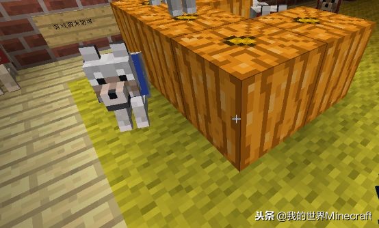 《我的世界》里的青金石這么沒用？可以染一切的礦石了解一下