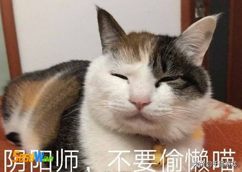 陰陽師：最不受歡迎的三花貓伊吹誕生，鈴鐺和噩夢，要肝不要貓