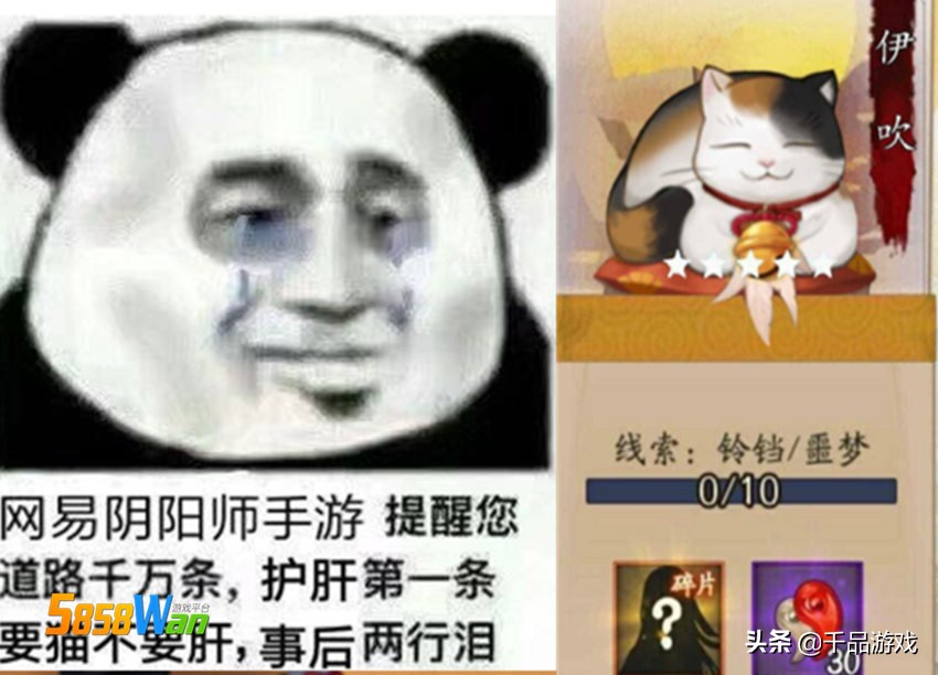 陰陽師：最不受歡迎的三花貓伊吹誕生，鈴鐺和噩夢，要肝不要貓