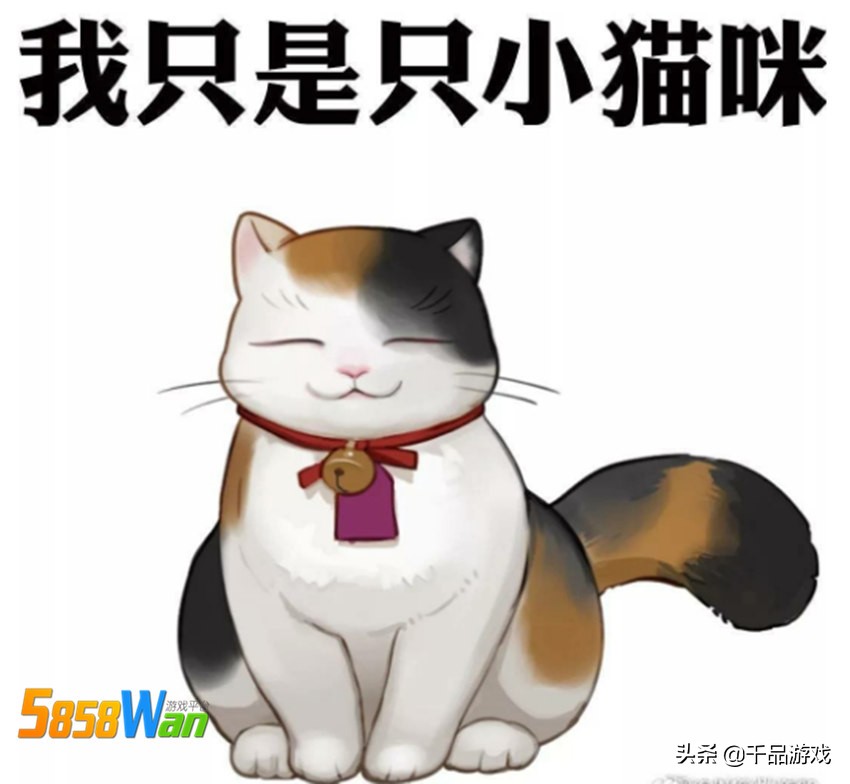 陰陽師：最不受歡迎的三花貓伊吹誕生，鈴鐺和噩夢，要肝不要貓