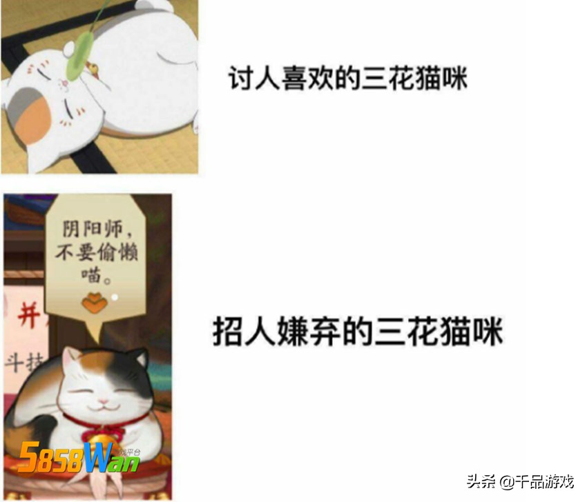陰陽師：最不受歡迎的三花貓伊吹誕生，鈴鐺和噩夢，要肝不要貓