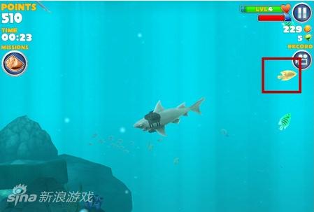 《饑餓鯊:進化》如何獲取金幣 有什么用