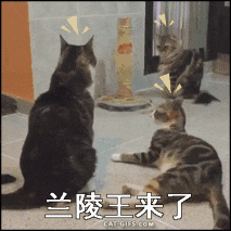 王者榮耀：隱身英雄都有哪些？又有哪些英雄技能可以克制他們？
