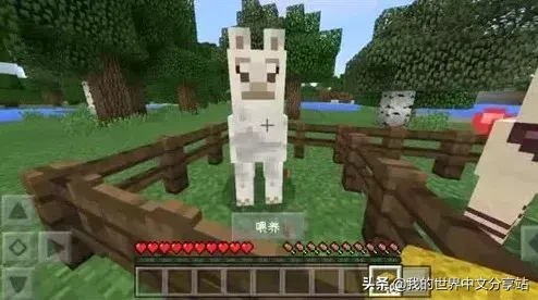 《我的世界》如何馴服和騎羊駝?