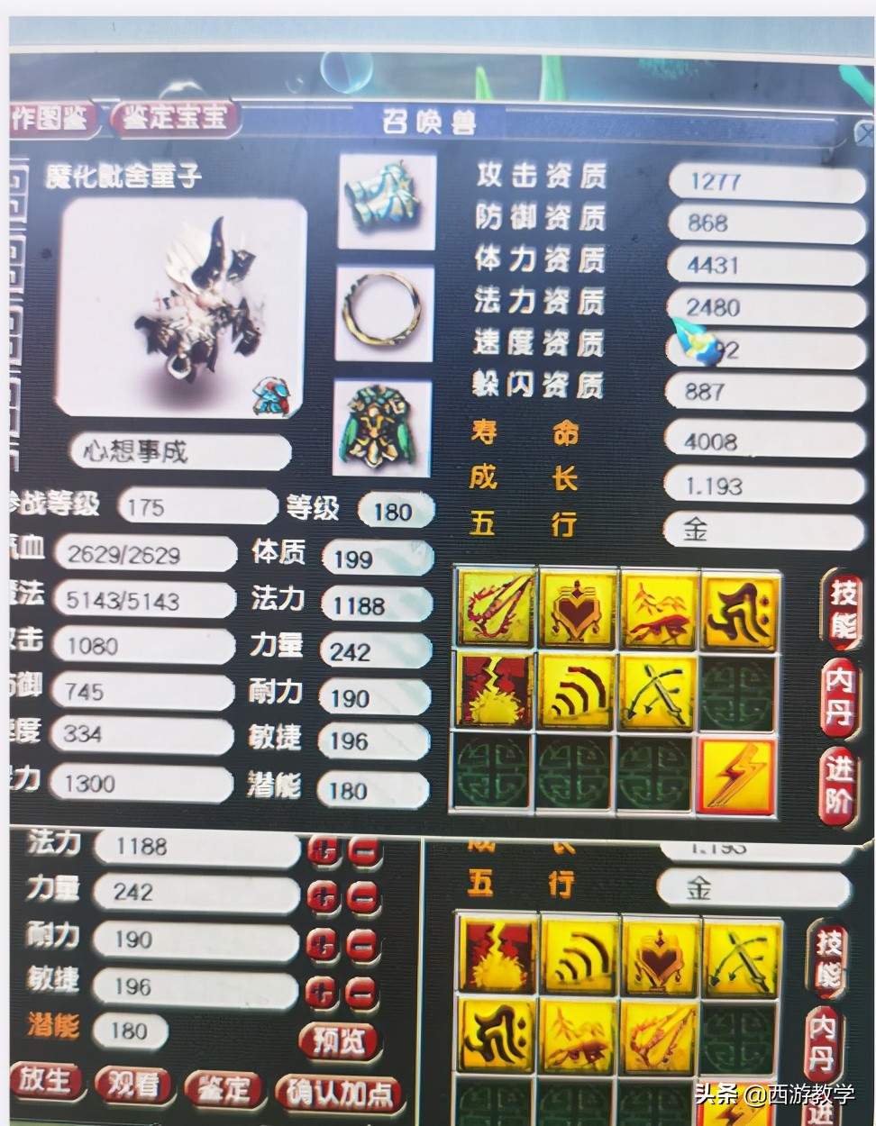 夢幻西游：追夢一下，新出服戰裝備，抓鬼給好東西