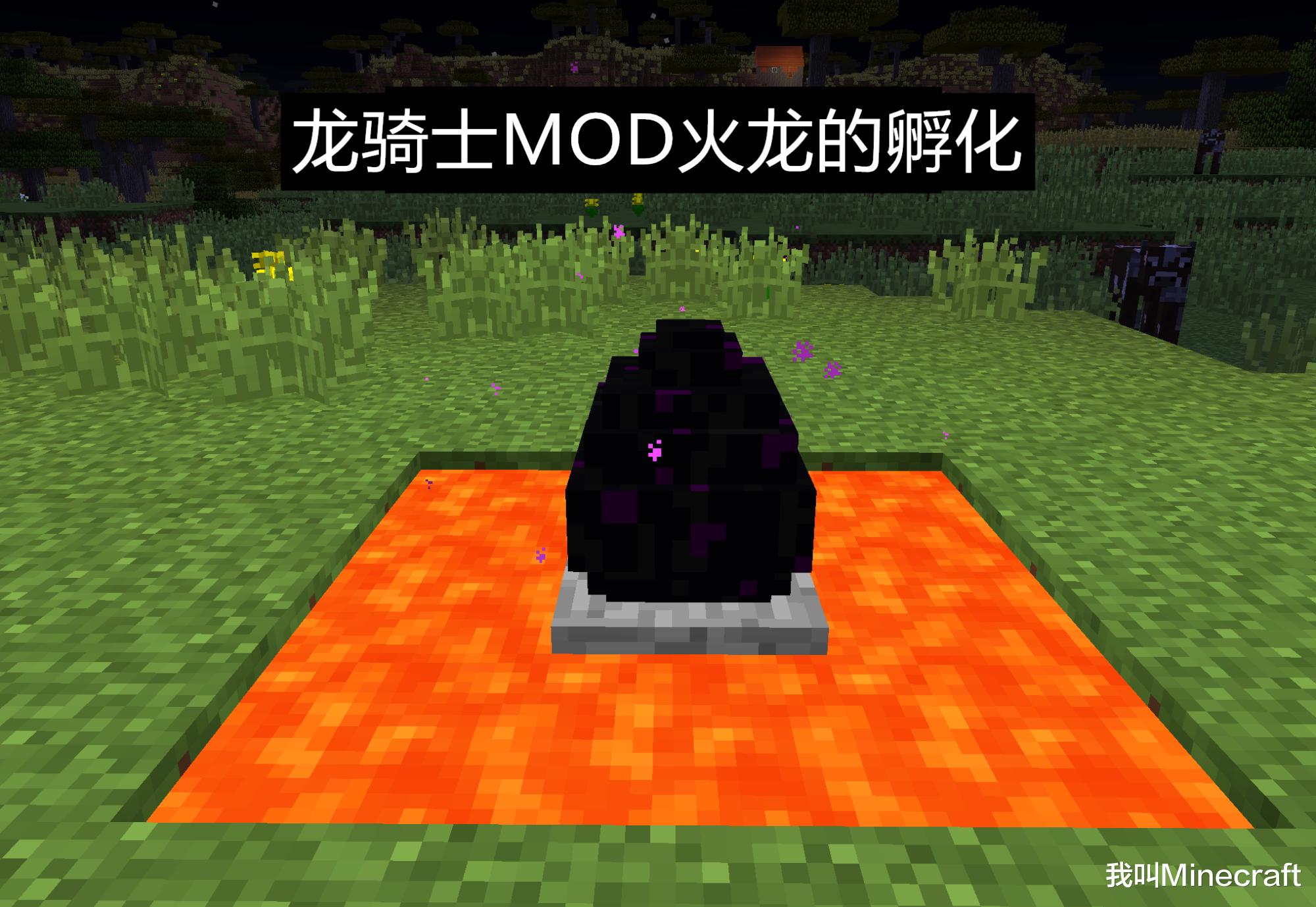《我的世界》龍蛋怎么孵化？老mc這個答案，我是萬萬沒想到的